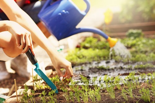 Garden maintenance work in Hackney Marshes with trimmed borders and lawn care