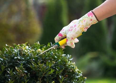 Free quote policy for gardeners in Hackney Marshes