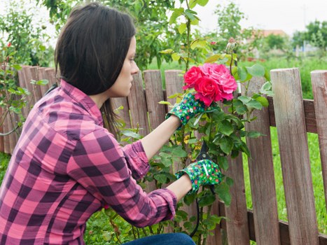 Professional gardeners in Hackney Marshes completing safe seasonal garden care