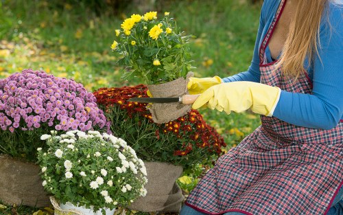 Large garden job pricing for properties near busy local roads