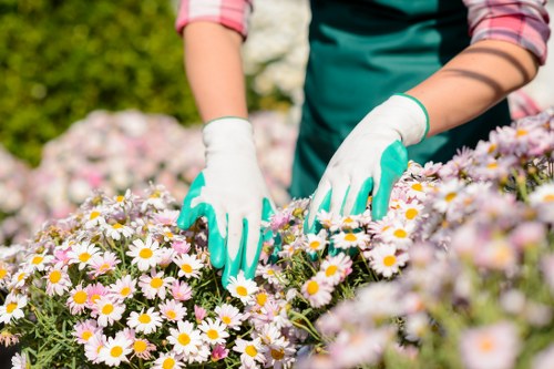 Keyboard navigation and structured headings for gardening access