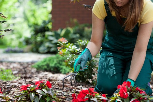 Local gardeners in Hackney Marshes shaping outdoor spaces