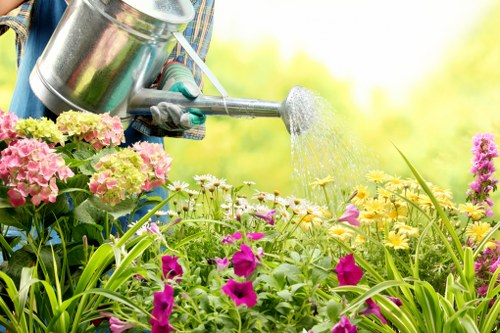 Seasonal lawn maintenance in Hackney Marshes for greener turf