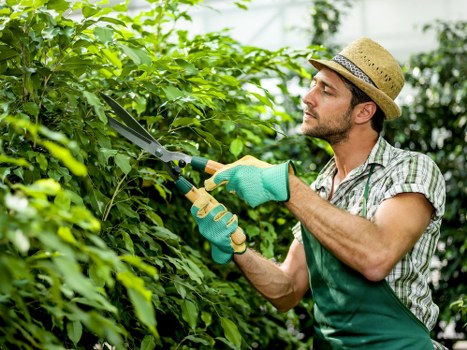 SSL encrypted Gardeners Hackney Marshes payment process with card security