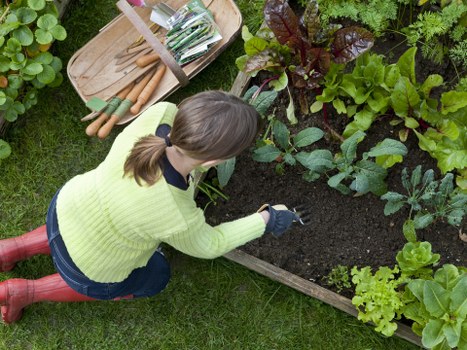 Screen-reader friendly Gardeners Hackney Marshes content section