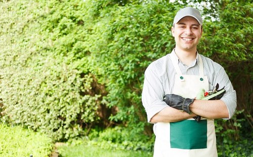 Regular garden maintenance for homes and shared spaces in Hackney Marshes
