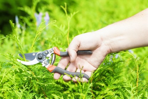 Seasonal garden care by Hackney Marshes gardeners