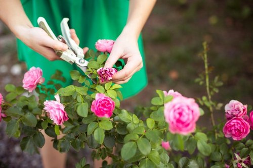 Seasonal garden maintenance in Hackney Marshes with tidy pathways and shrubs