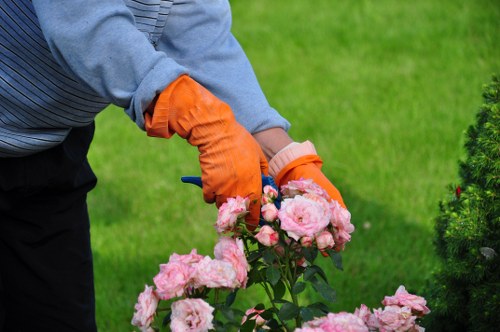 Garden service issue review in progress