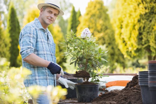 Seasonal garden care and pruning in Hackney Marshes