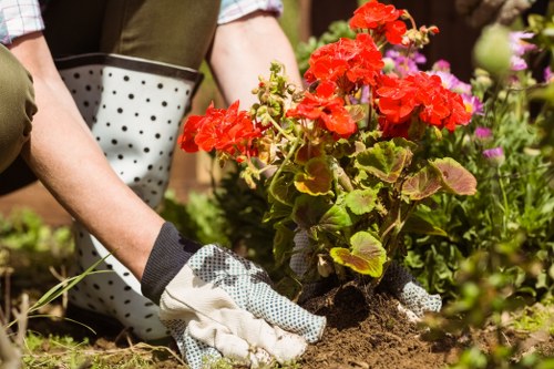 Local gardeners in Hackney Marshes pruning shrubs and shaping borders