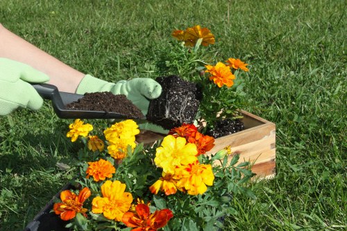 Professional garden upkeep in Hackney Marshes featuring hedges and planting beds