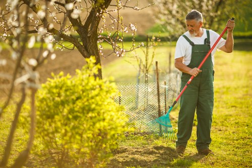 Professional tree removal near residential and public areas in Hackney Marshes