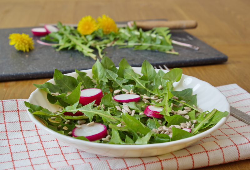 Hedge trimming Garden